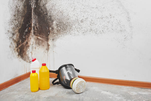 Best Mold Testing  in Leoti, KS