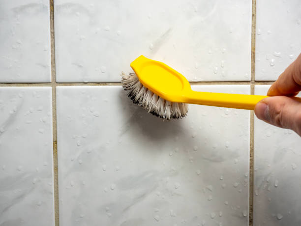 Best Best Mold Removal Companies  in Leoti, KS