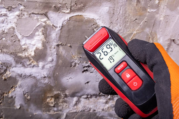  Leoti, KS Mold Removal Pros