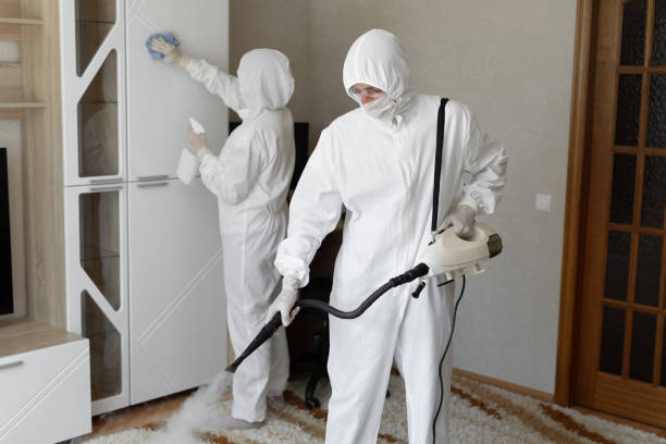 Best Attic Mold Removal  in Leoti, KS