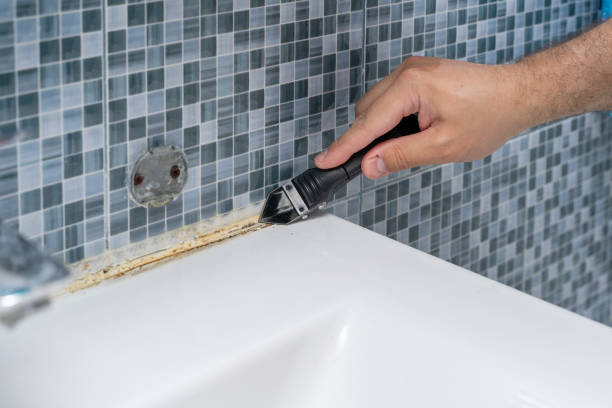 Best Same-Day Mold Removal  in Leoti, KS