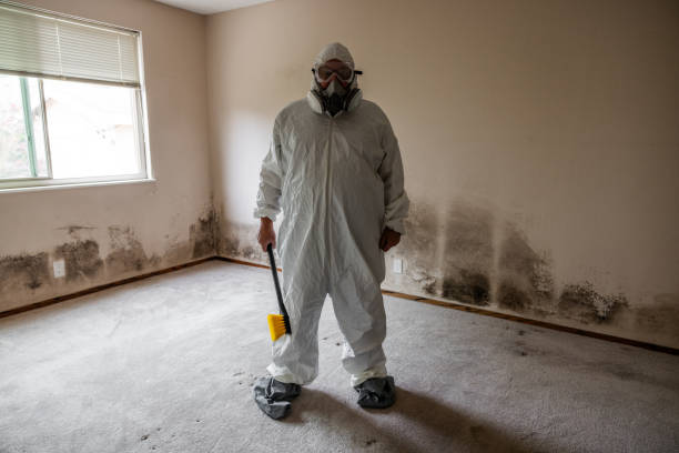 Best Fast Mold Removal  in Leoti, KS