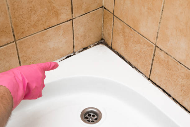 Best Mold Cleaning Services  in Leoti, KS